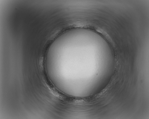 X0000073520066200608281744