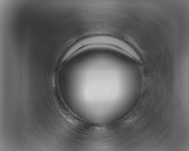 X0000073520068200608281744