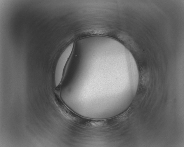 X0000073520070200608281744