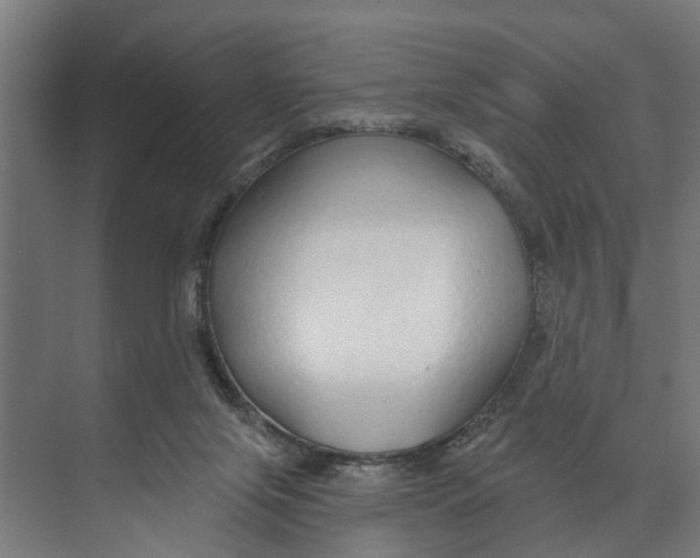 X0000073520071200608281744