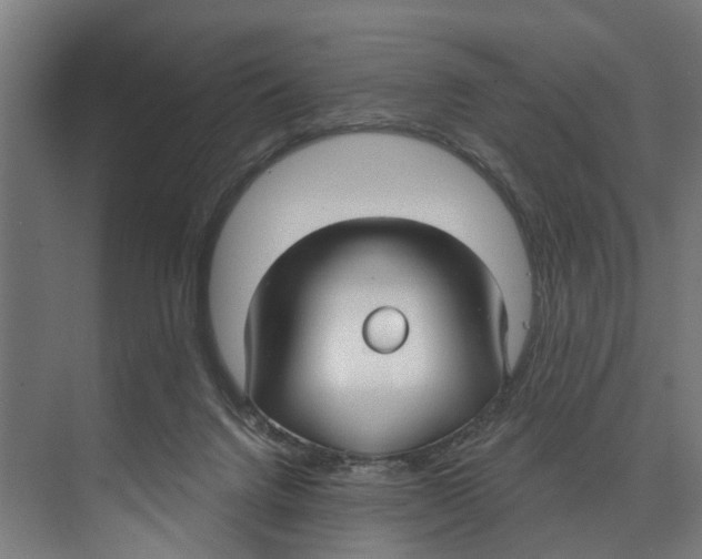 X0000073520072200608281744