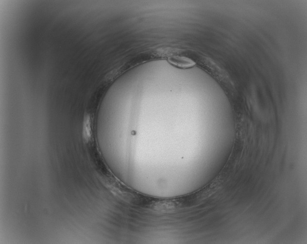 X0000073520075200608281744