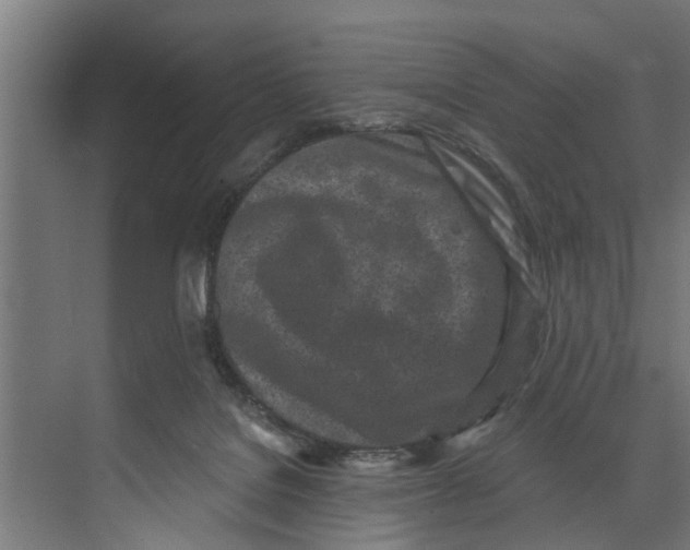 X0000073520076200608281744