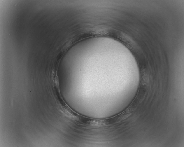 X0000073520077200608281744