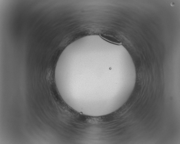 X0000073520079200608281744