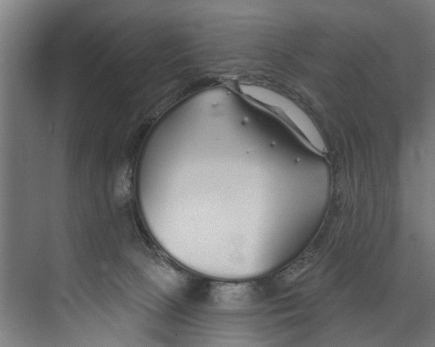 X0000073520081200608281744