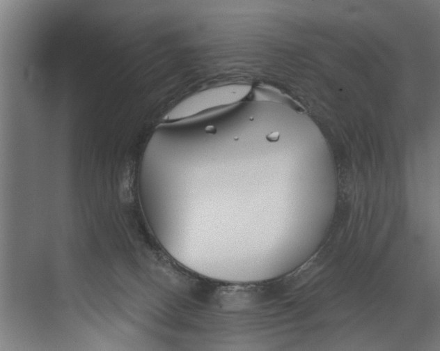 X0000073520082200608281744