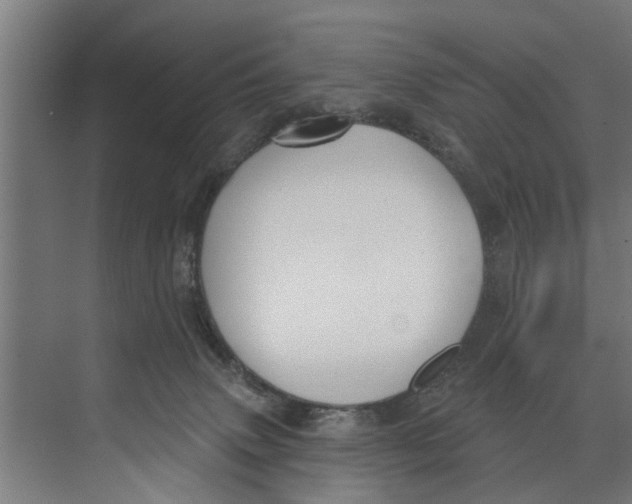 X0000073520083200608281744