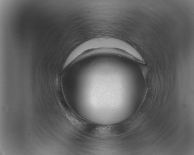 X0000073520084200608281744