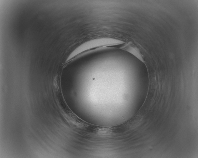 X0000073520088200608281744