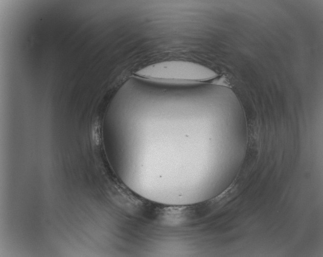 X0000073520090200608281744