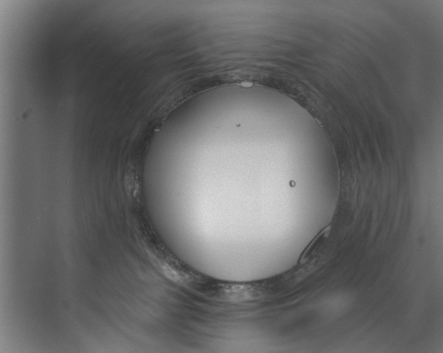 X0000073520091200608281744