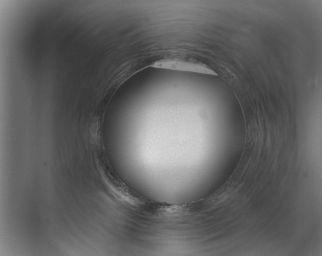 X0000073520092200608281744