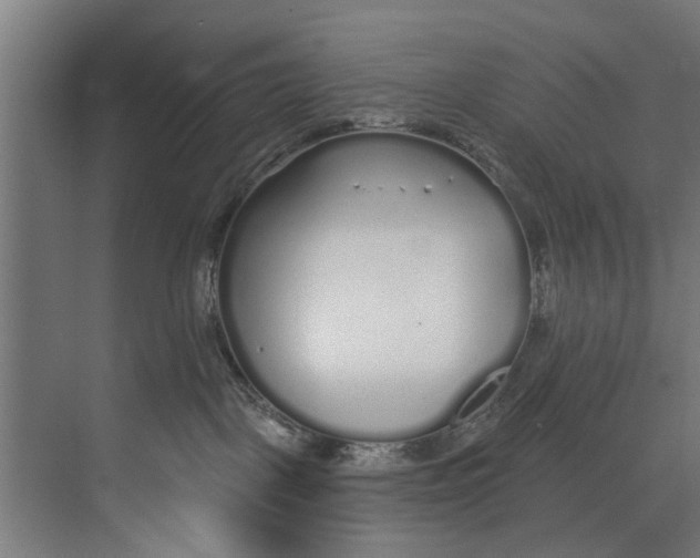 X0000073520093200608281744