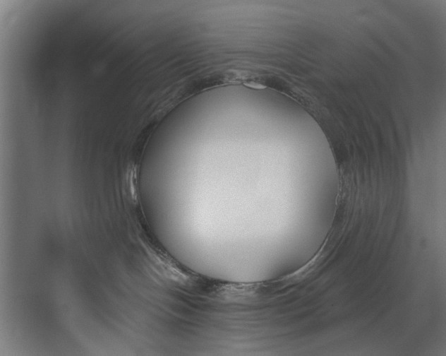 X0000073520094200608281744