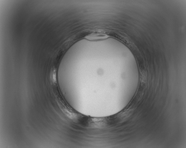 X0000073520095200608281744