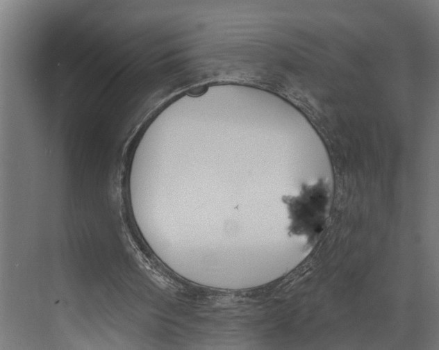 X0000073520098200608281743