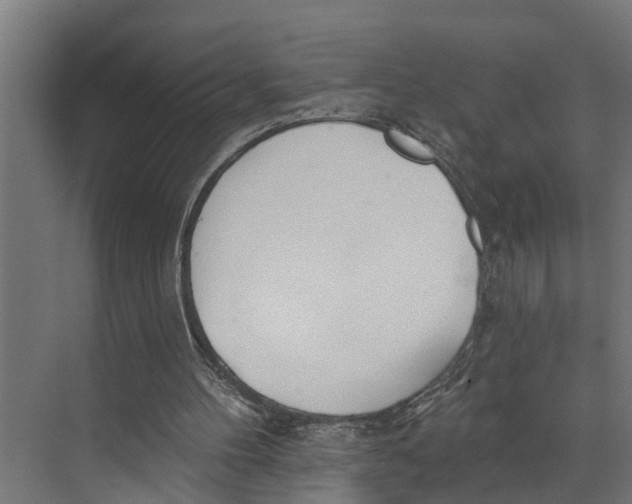 X0000073520100200608281743