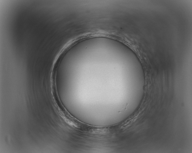 X0000073520102200608281743