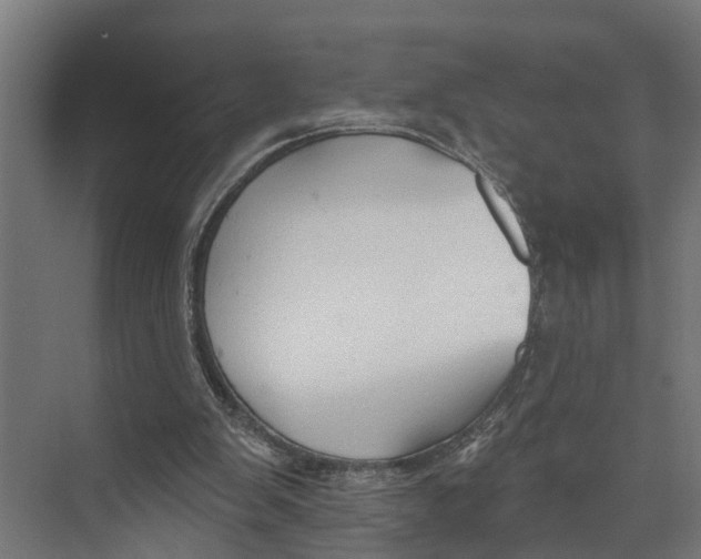 X0000073520103200608281743