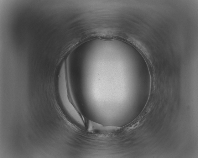 X0000073520105200608281743