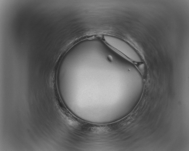 X0000073520107200608281743