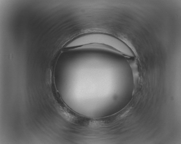 X0000073520109200608281743