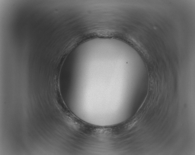 X0000073520117200608281743