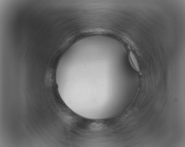 X0000073520119200608281743