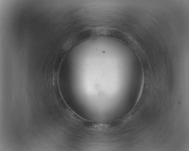 X0000073520125200608281743