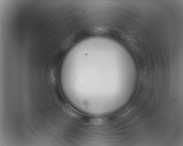 X0000073520131200608281743