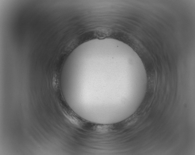 X0000073520134200608281743