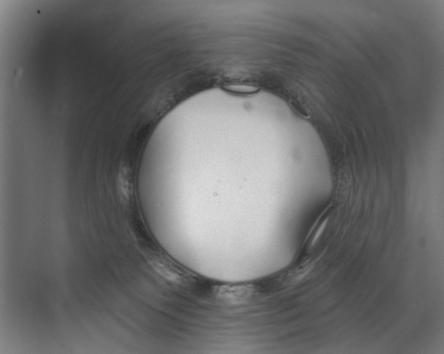 X0000073520135200608281743