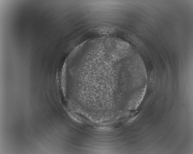 X0000073520137200608281743