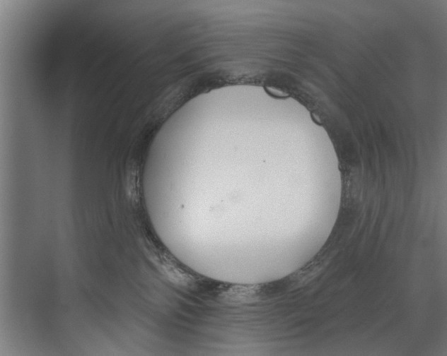 X0000073520138200608281743