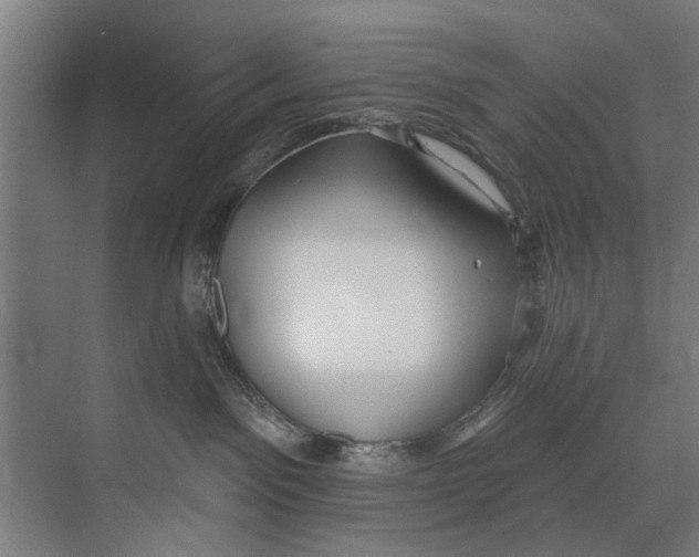 X0000073520141200608281743