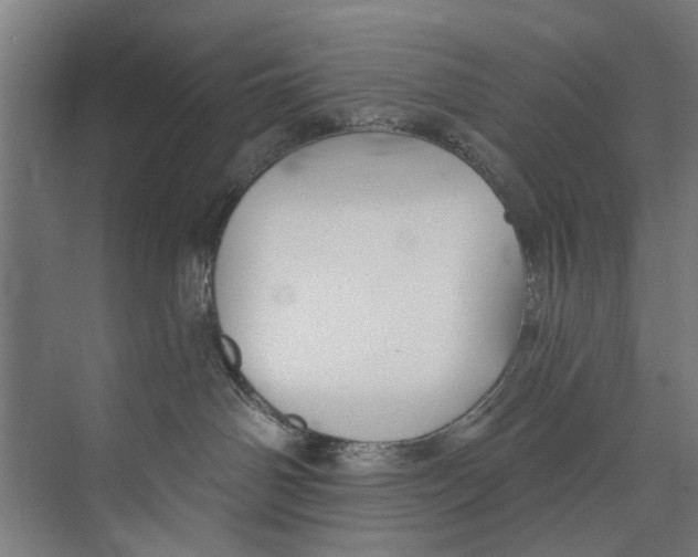 X0000073520142200608281743