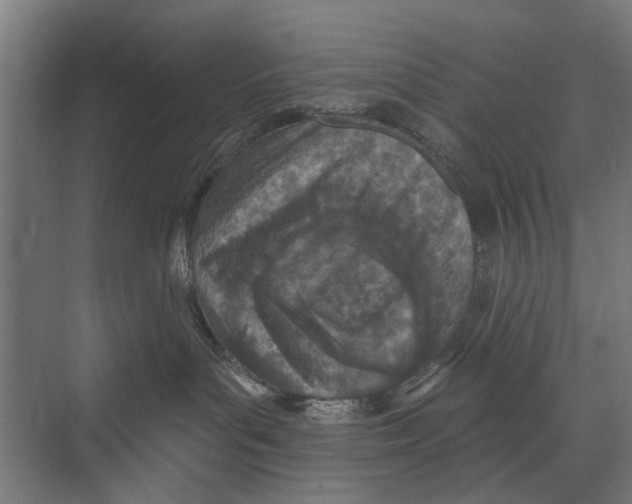 X0000073520143200608281743