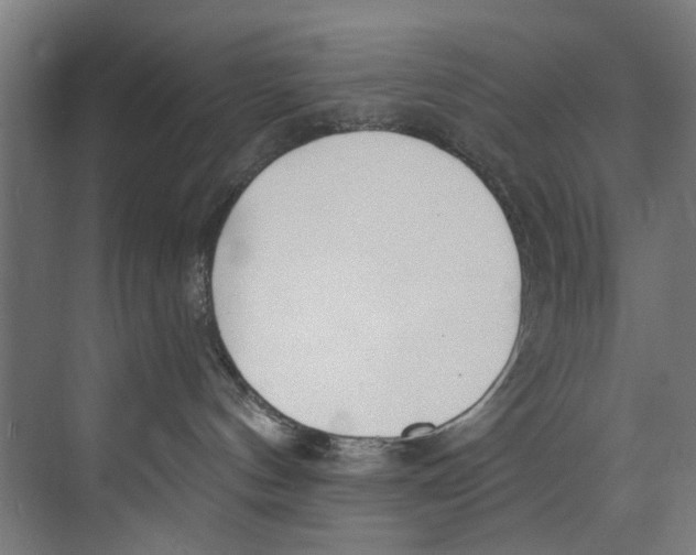 X0000073520144200608281743