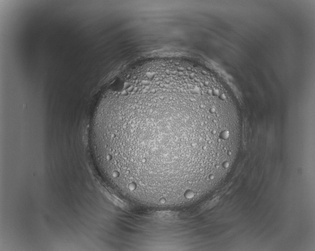 X0000073520153200608281742