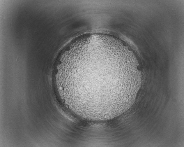 X0000073520155200608281742