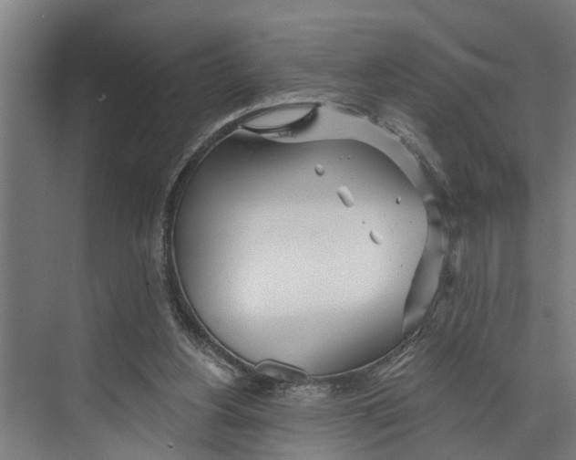 X0000073520156200608281742