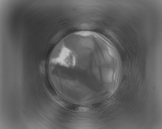 X0000073520167200608281742