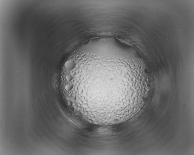 X0000073520171200608281742