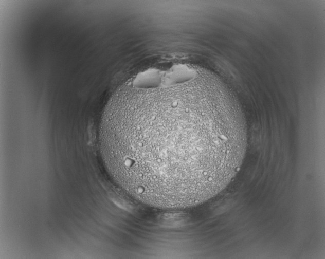 X0000073520173200608281742