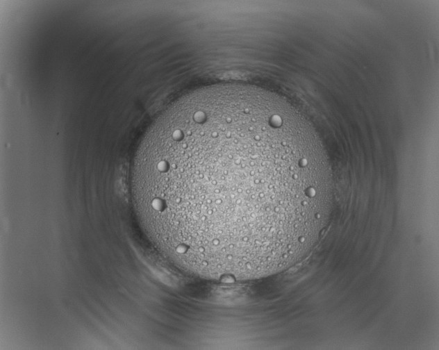 X0000073520175200608281742