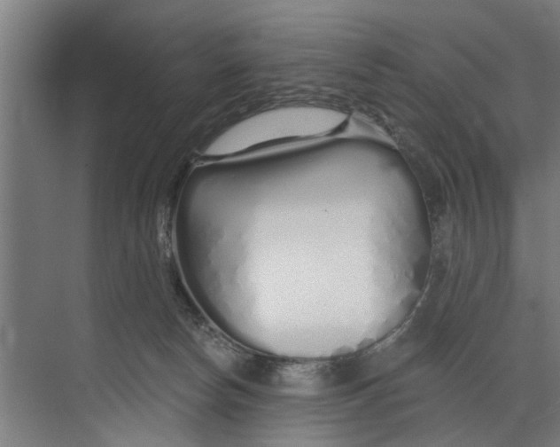 X0000073520178200608281742