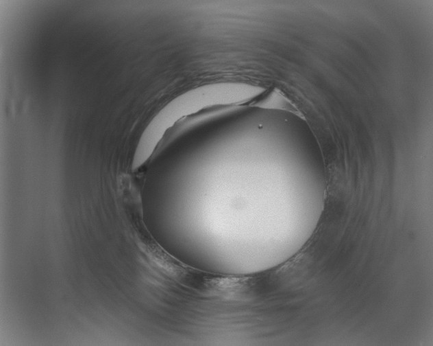 X0000073520184200608281742