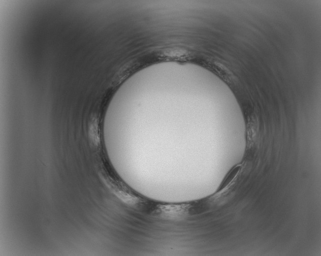 X0000073520187200608281743