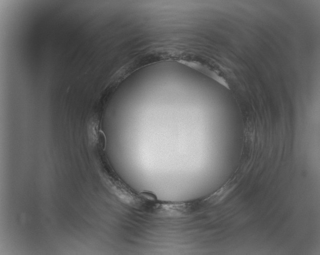 X0000073520188200608281743